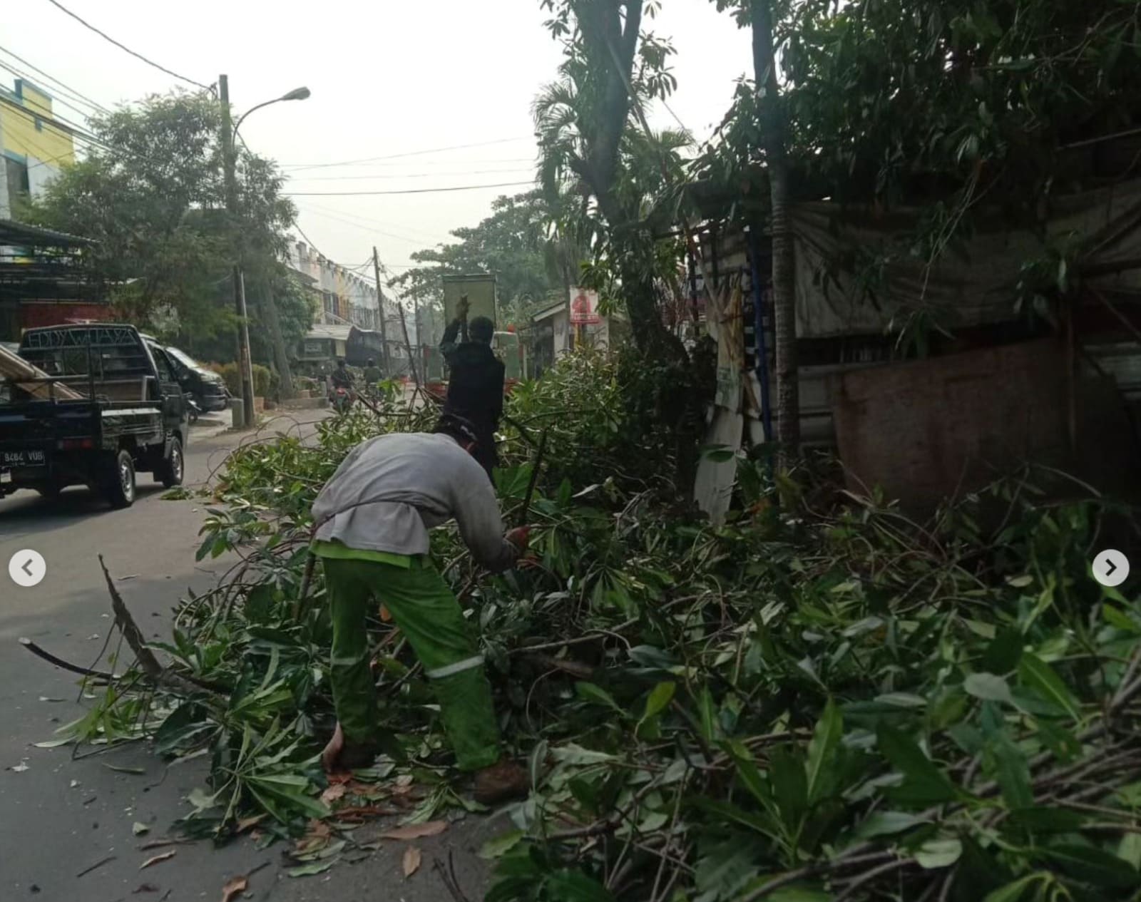 IMG-cuaca-ekstrem-pemkot-tangerang-buka-permohonan-pemangkasan-pohon-gratis