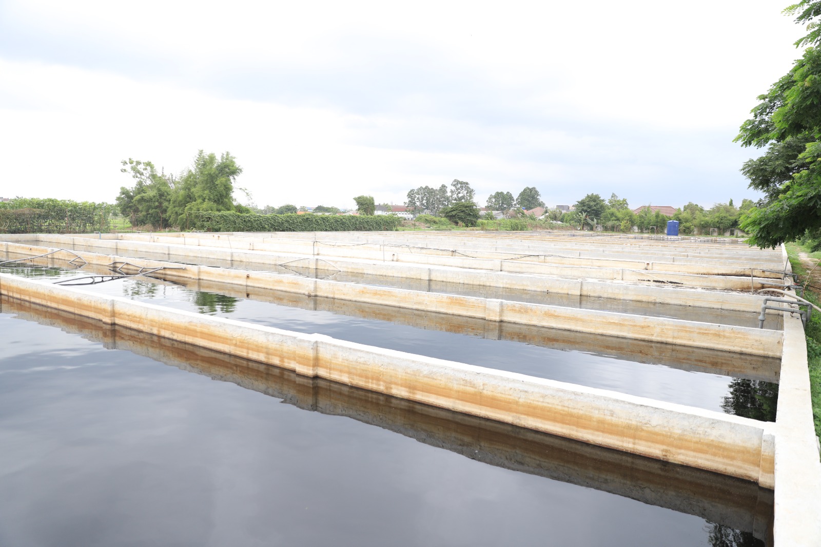 IMG-pemkot-tangerang-tata-ulang-tpa-rawa-kucing-manfaatkan-refused-derived-fuel-hingga-landfill