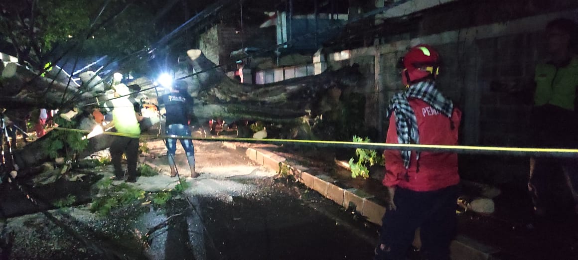 IMG-tim-gabungan-pemkot-tangerang-sigap-tangani-sejumlah-pohon-tumbang
