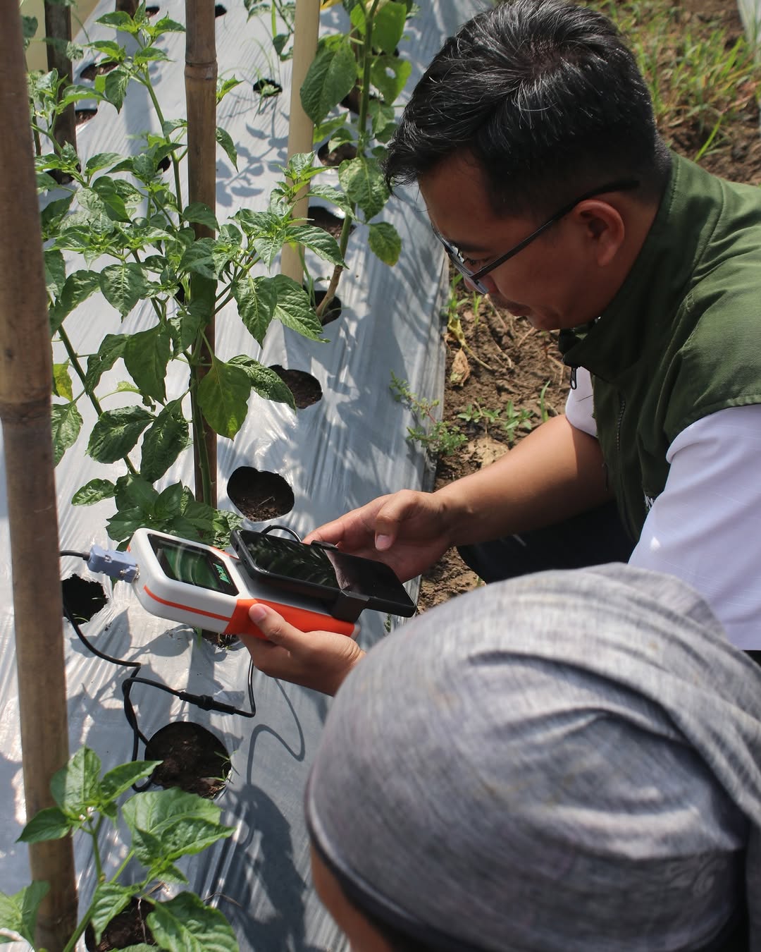 IMG-optimalkan-pertanian-di-era-digital-dkp-kota-tangerang-lakukan-uji-nutrisi-tanah-berbasis-iot