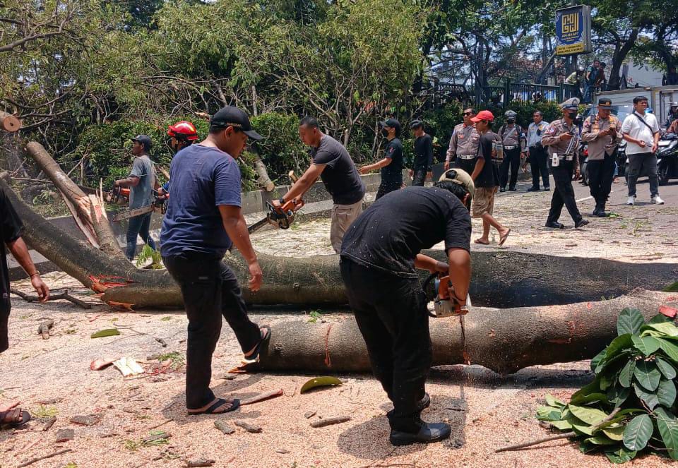 IMG-petugas-gabungan-respons-cepat-tangani-pohon-tumbang-di-jalan-mh-thamrin