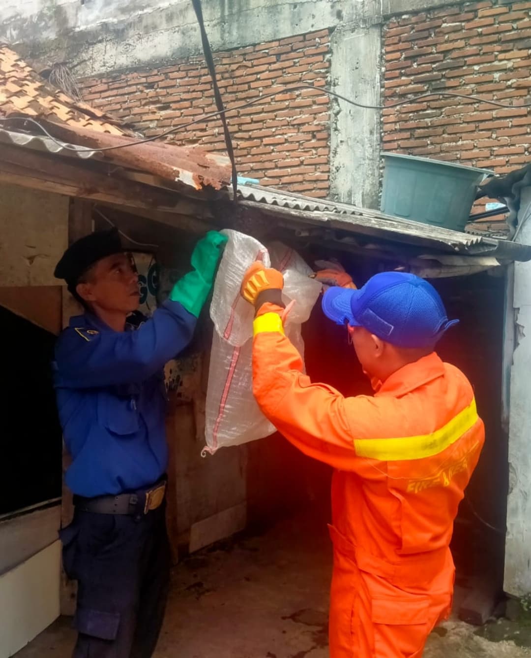 IMG-bpbd-kota-tangerang-sigap-evakuasi-sarang-lebah-di-atap-rumah-warga-kelurahan-karangsari