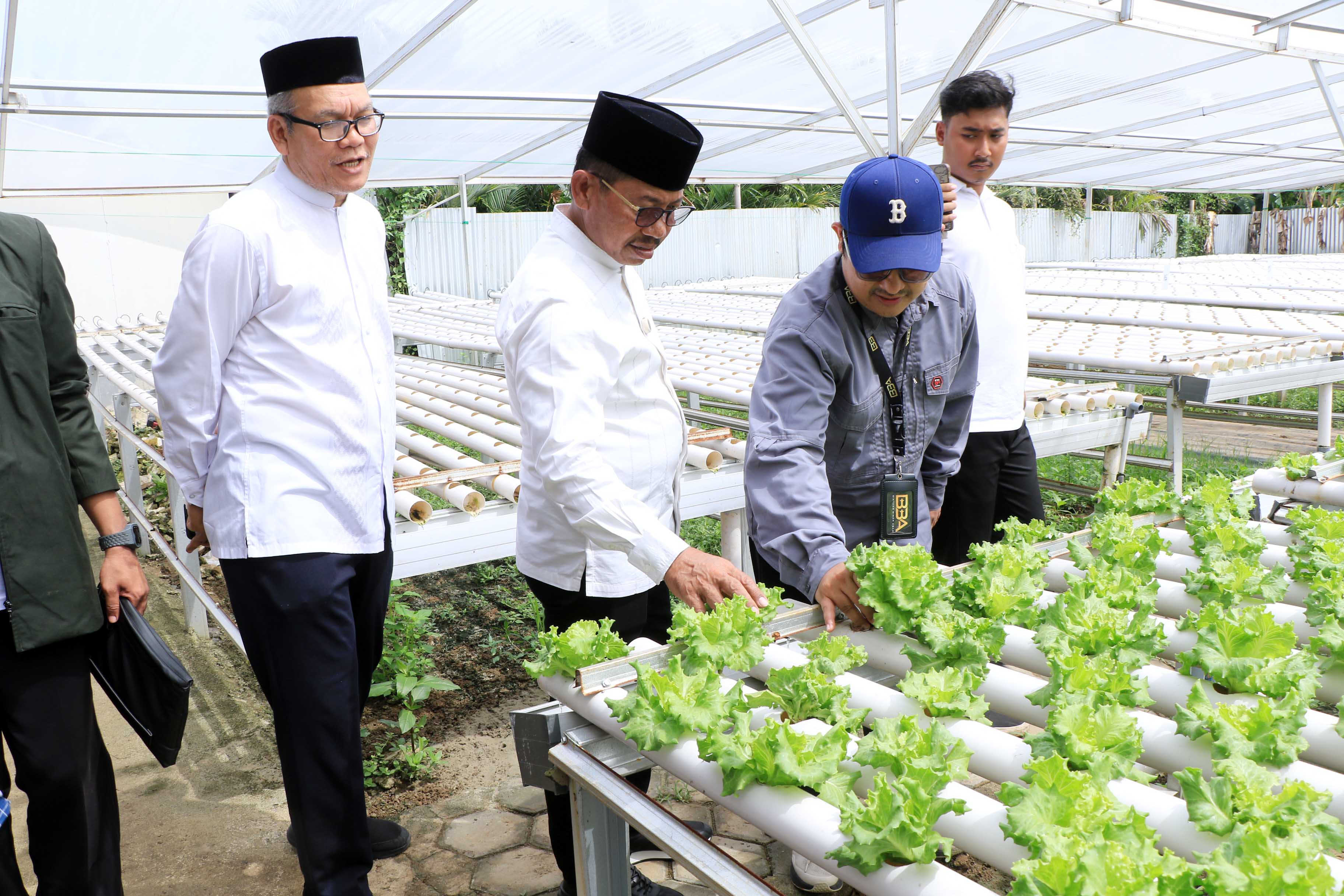 wali-kota-tangerang-kunjungi-tpu-swadaya-dan-food-estate-edukatif-di-cipondoh