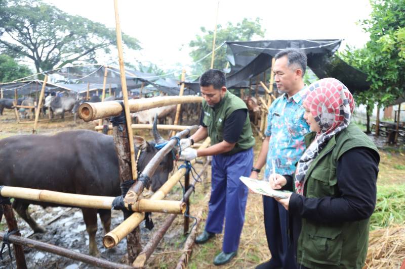 warga-kota-tangerang-wajib-tahu-ini-tips-memilih-hewan-kurban-terbaik