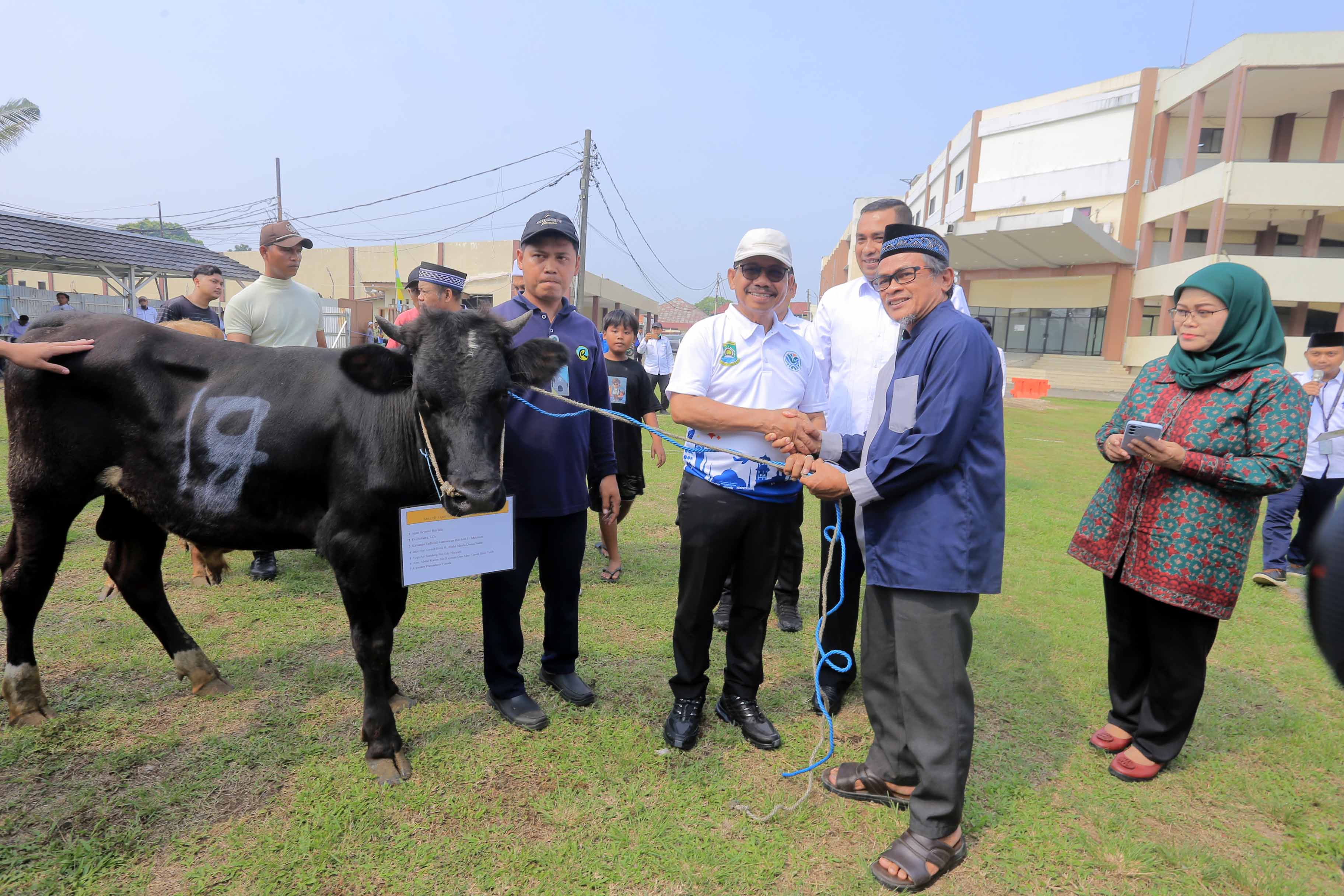 dukung-budaya-berbagi-wali-kota-hadiri-penyerahan-hewan-kurban-dari-rsup-dr-sitanala