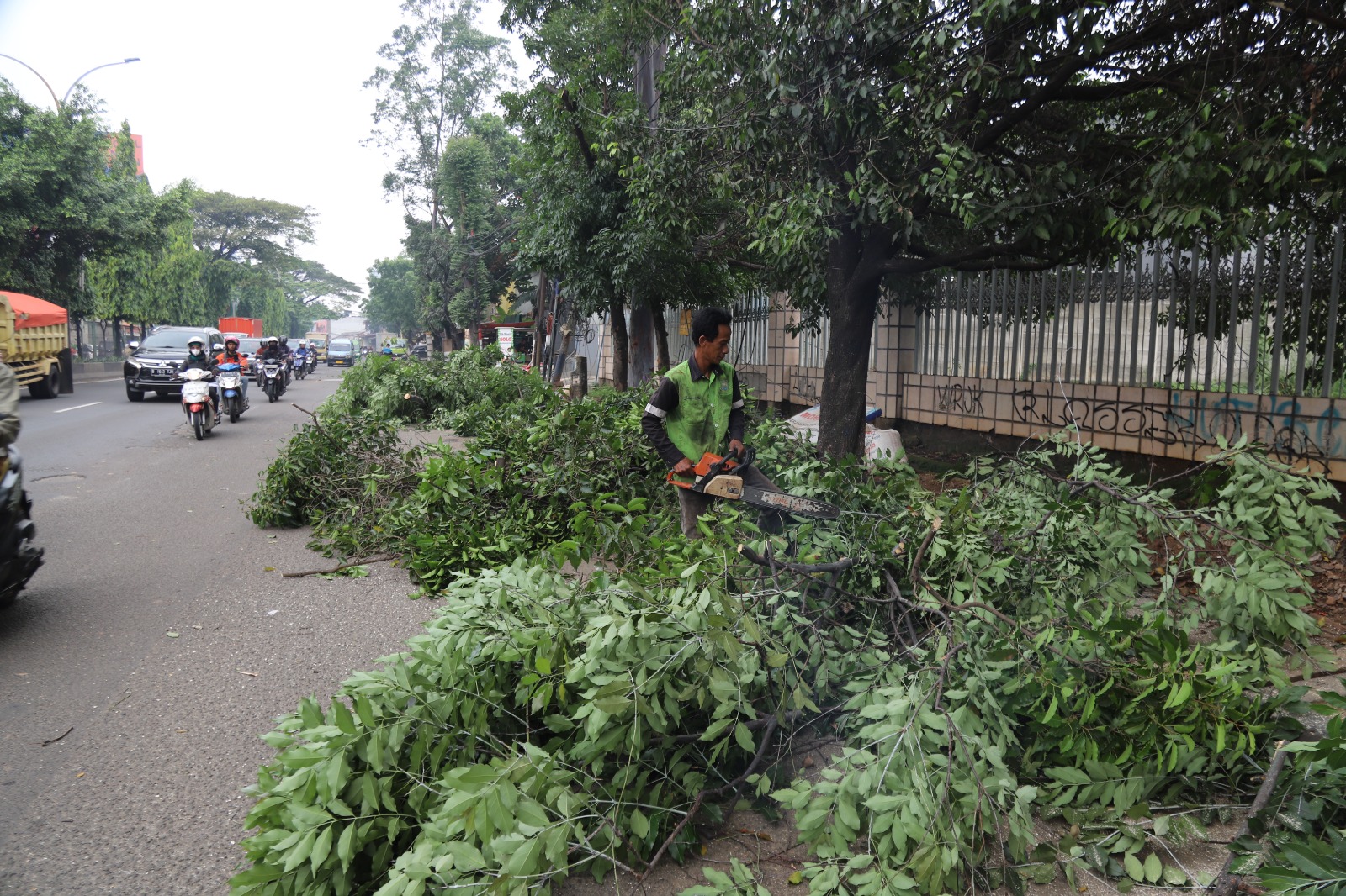 antisipasi-pohon-tumbang-pemkot-tangerang-lakukan-pemangkasan-pohon-di-sejumlah-titik