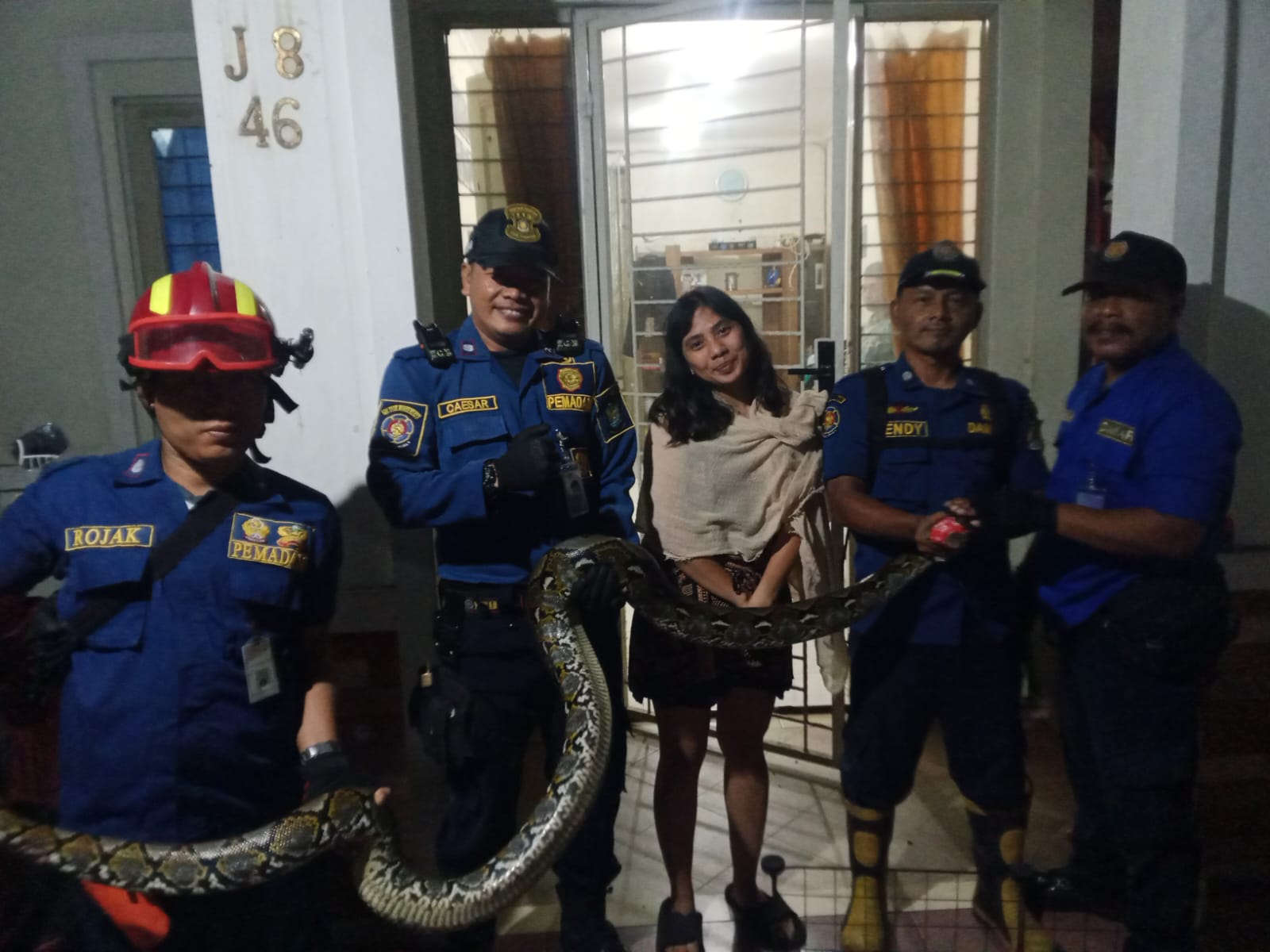 petugas-upt-damkar-ciledug-kota-tangerang-evakuasi-ular-sanca-dari-halaman-rumah-warga
