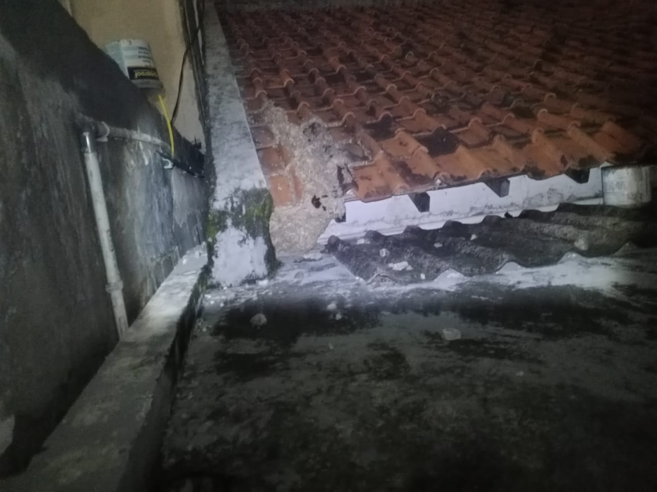 upt-damkar-ciledug-kota-tangerang-evakuasi-sarang-tawon-dari-atap-rumah-warga